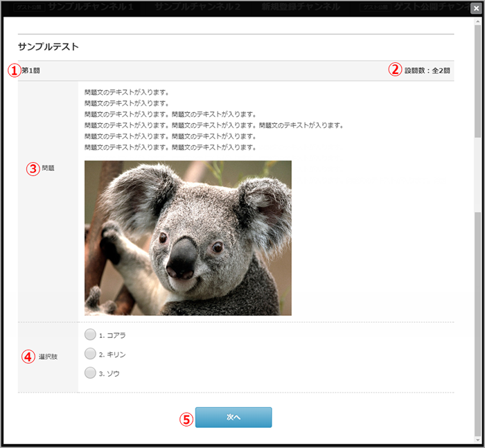 user-view-test-all-02.png